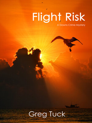 cover image of Flight Risk